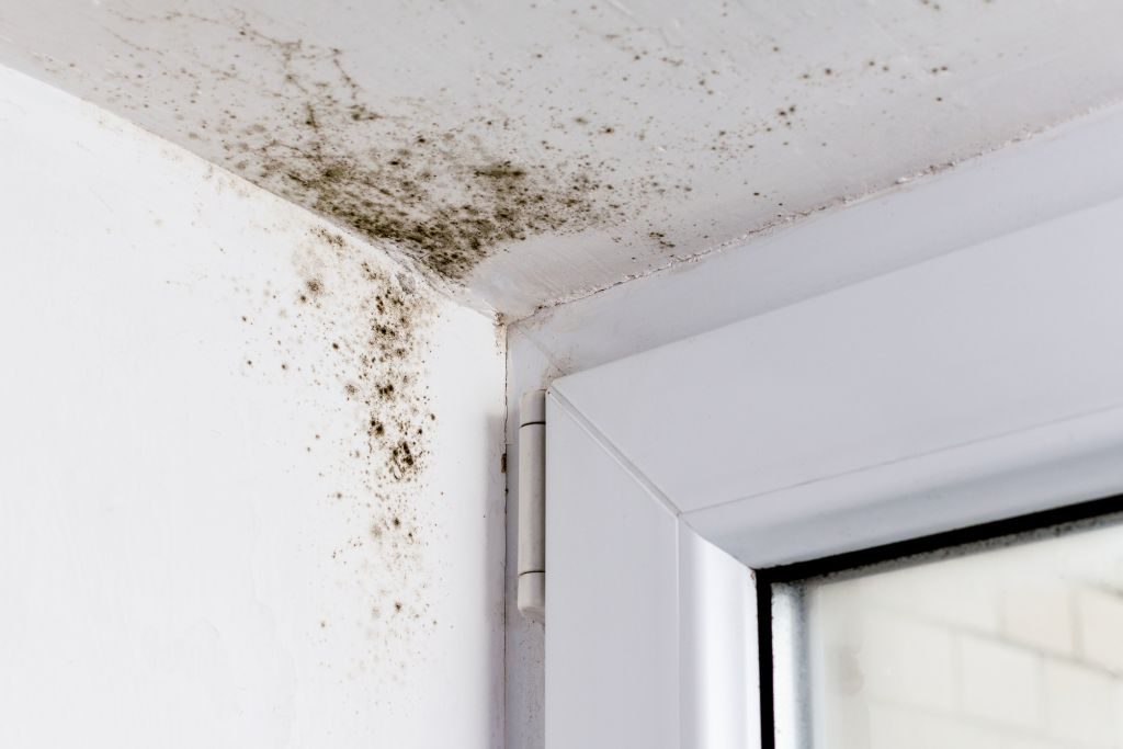 Bauschäden können durch Fensterdichtungsbänder verringet werden. Foto: Würth