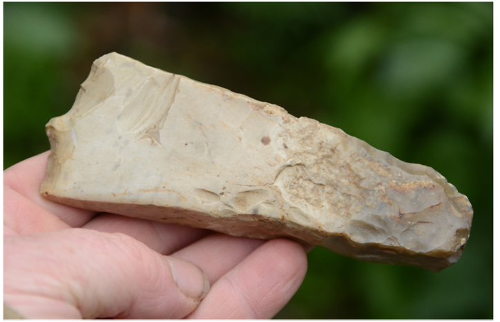 Figure 1: Frühformen von Werkzeug wie Faustkeil